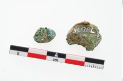Foto von Bronzeknopf (NHMW-PRAE-078075)